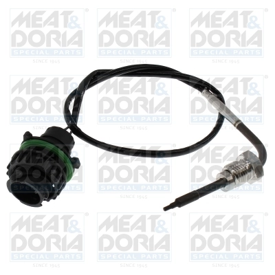 Sensor, exhaust gas temperature